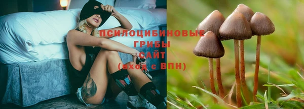 скорость Лиски