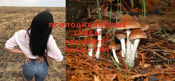 круглые Липки