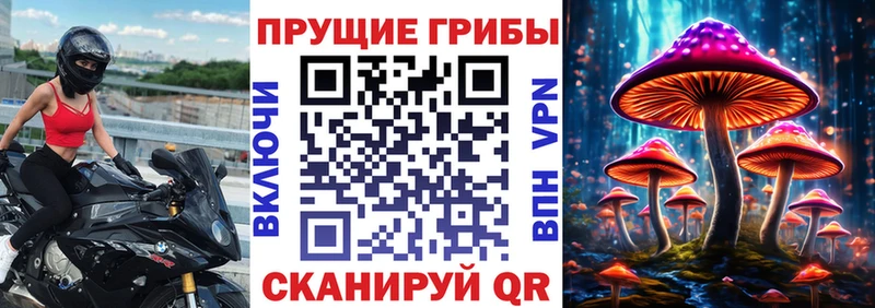 Галлюциногенные грибы мицелий  дарнет шоп  Кызыл 